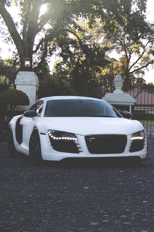 Lavish LifeStyle tweet media