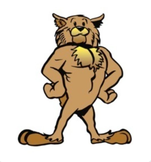 ronnic15 tweet media