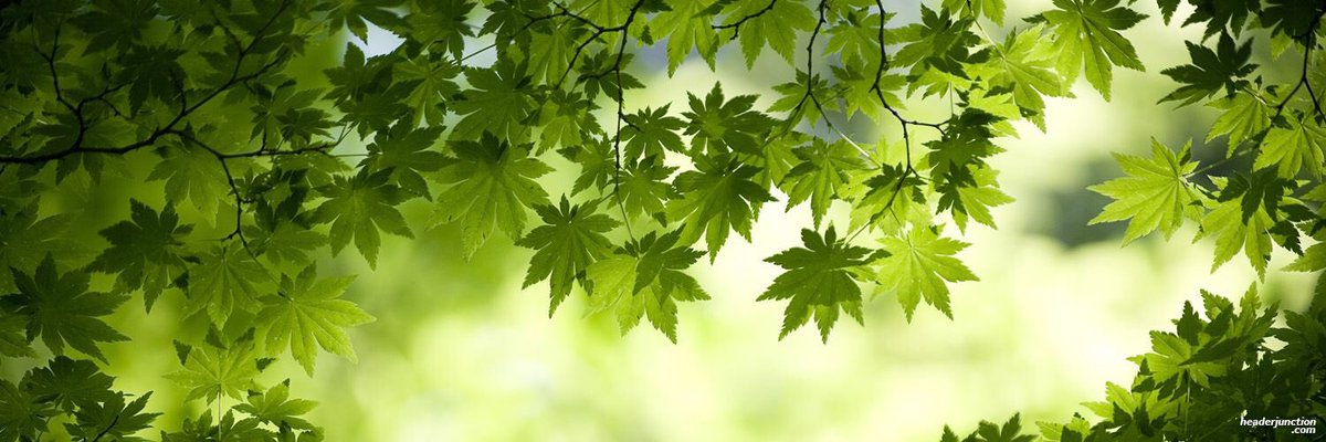 hamiltonlayout's tweet image. Lin layout!