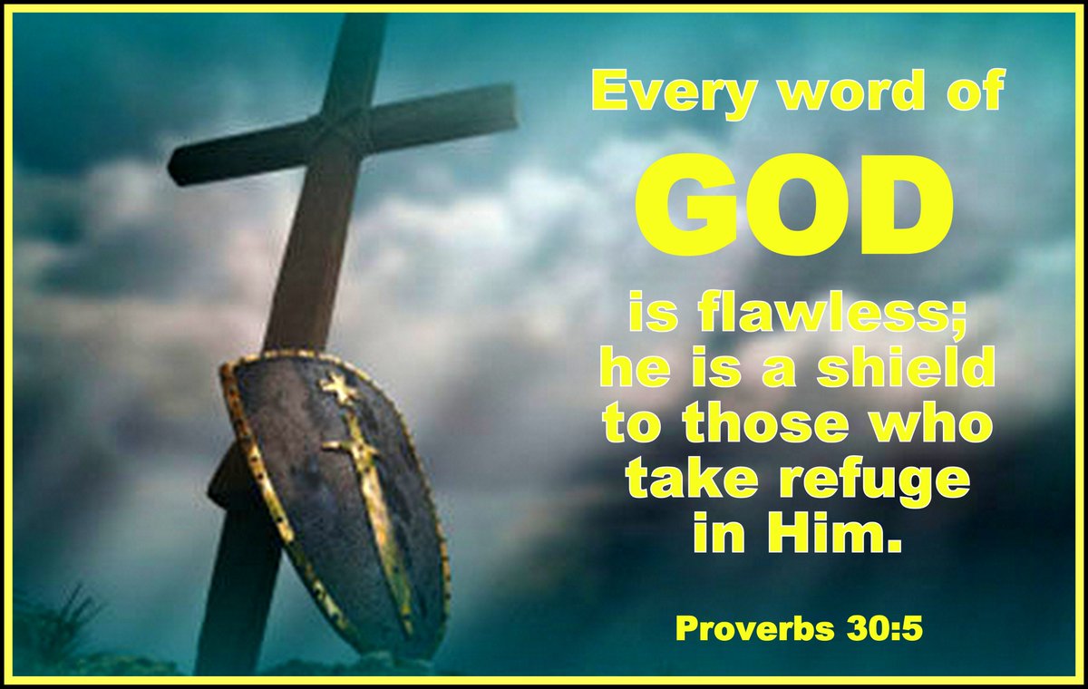 Judy CONSERVATIVE tweet media