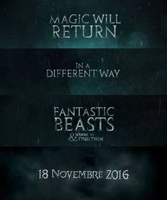 PotterBeasts's tweet image. RT if you're excited!