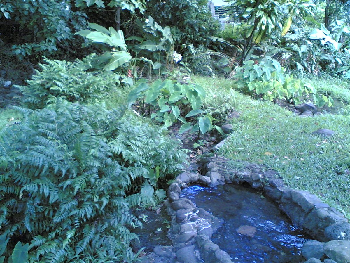 Pulu pē mākou iā Lililehua i kēia kakahiaka.