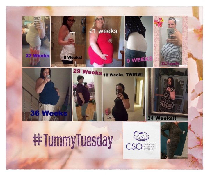 CSOJoanne's tweet photo. Last weeks #TummyTuesday collage. Wonder what the ladies look like today? STAY TUNED! #canadiansurrogacy #surrogacy https://t.co/vDnQ80nVs8