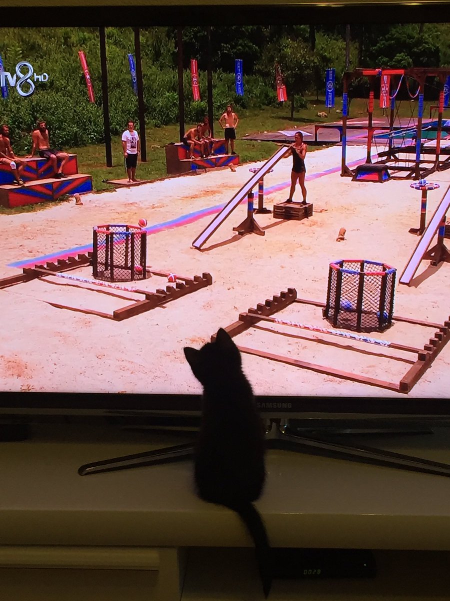 SemaSenaAzra's tweet photo. #Survivor en iyi Survivor takipçisi https://t.co/5WERejrUTw