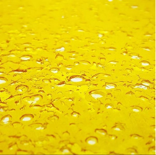 ConcenTRate tweet media