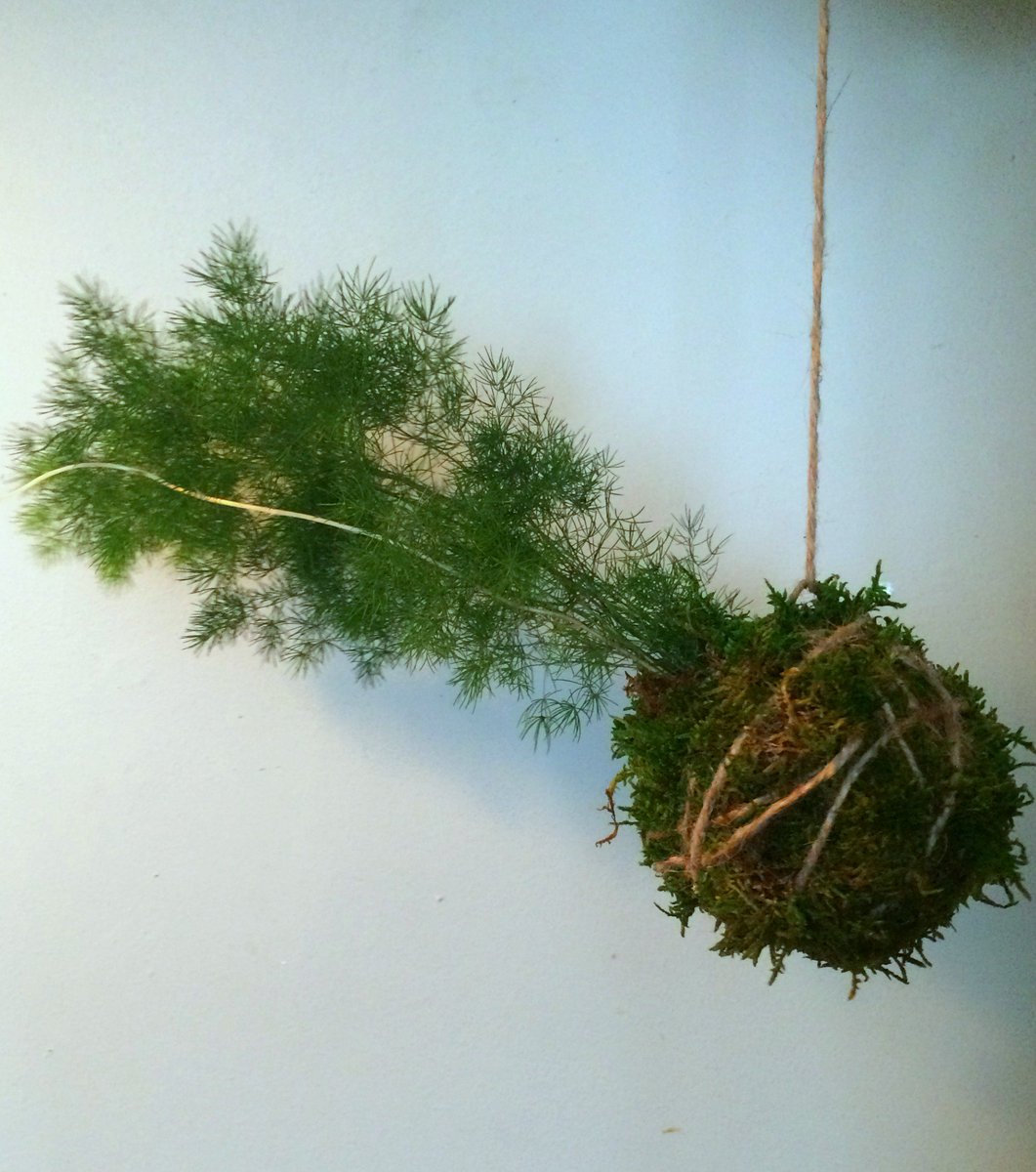 Check out the blog to see how you can make your own #kokedama bit.ly/1WN7vcV #diy #indoorgardening