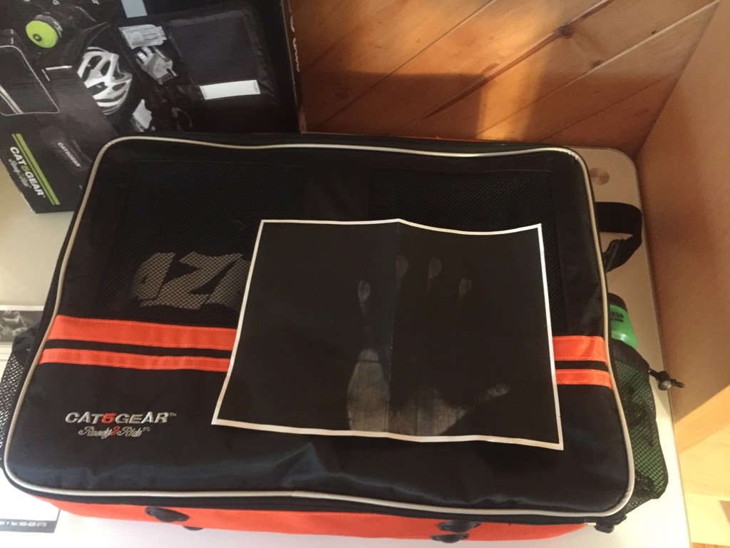 SickPigeon's tweet photo. I ordered a couple @Cat5Gear bags. Requested a high5 in Shipping instructions box. They came through as requested!! https://t.co/0EMHx1SScU