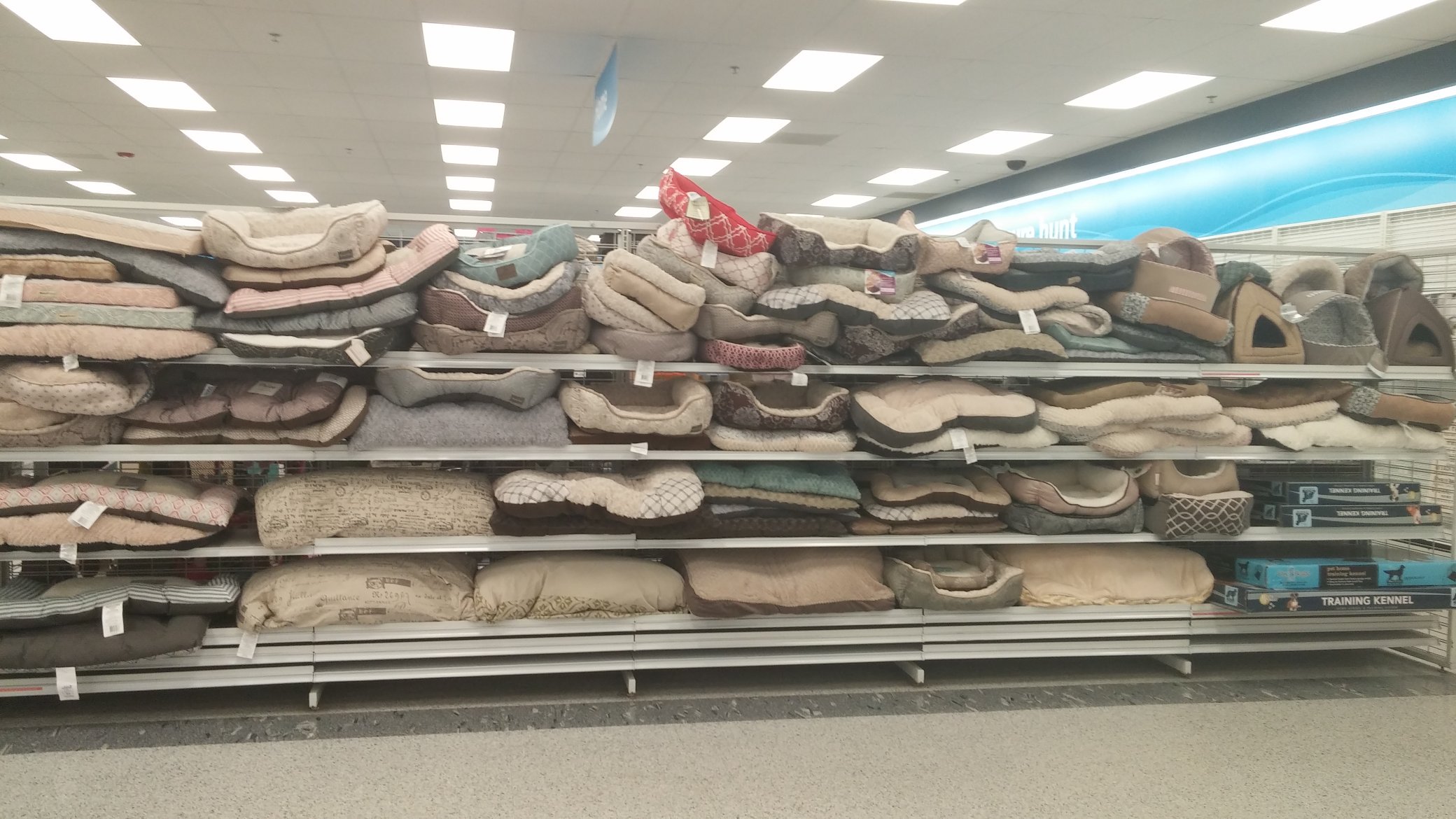 Dog bed store sales