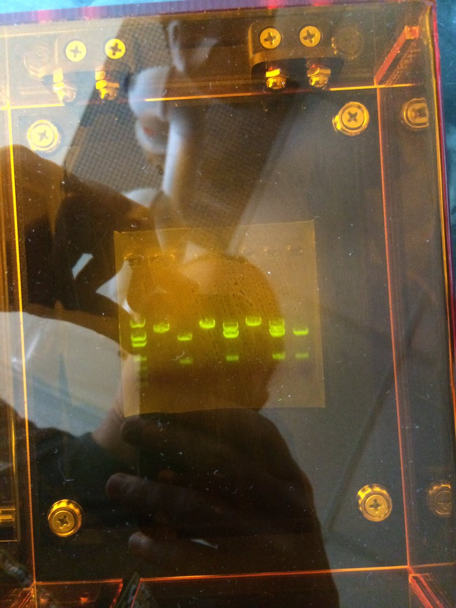 fhcwilmes's tweet photo. Who knows what this is?? If you're taking PLTW bio med you'll know soon. Cant wait to bring PBS to TBHS this fall! https://t.co/CXk1WIRIYy