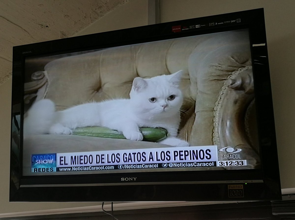 Rodrigo Rodríguez tweet media