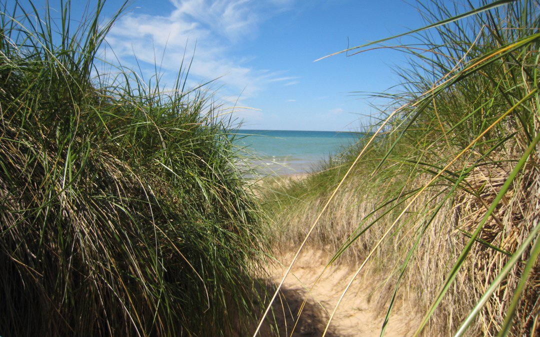 AutismAlliance's tweet image. Summer Safety in the #Autism Community...#NavigatingAutism buff.ly/1S4kpLq