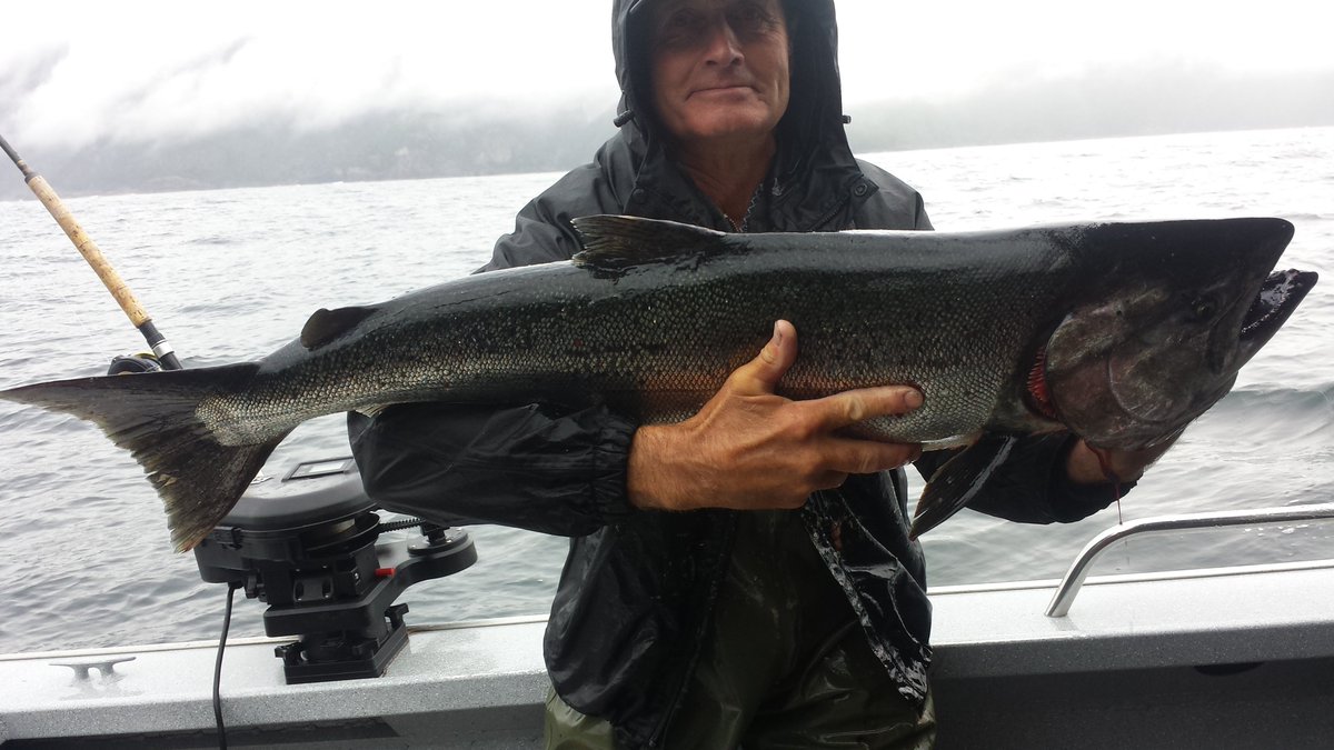SandspitFishin's tweet photo. #bigfishcatch #sportfishing #fisherman #lovefishing #ilovefishing #fishingtrip #zelda #portugal #salmon https://t.co/4KcjmGHbB2