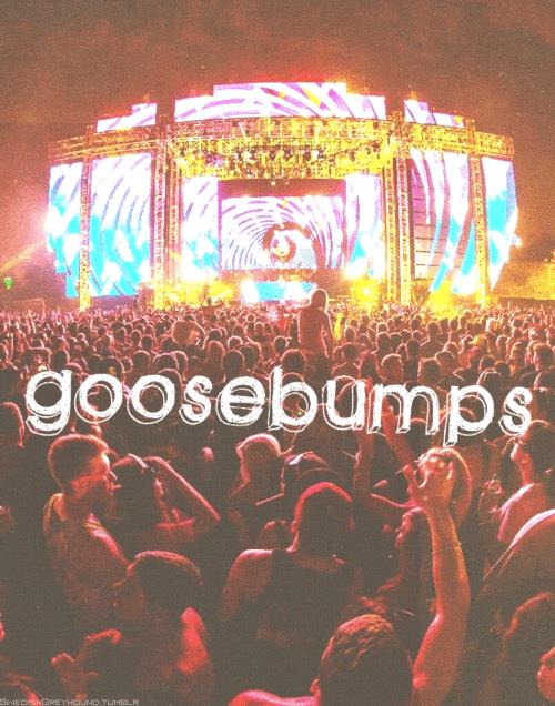 😽  Big Discounts! :- goo.gl/1OiSn2 Loopmasters Samples 4 DJs Producers Artists