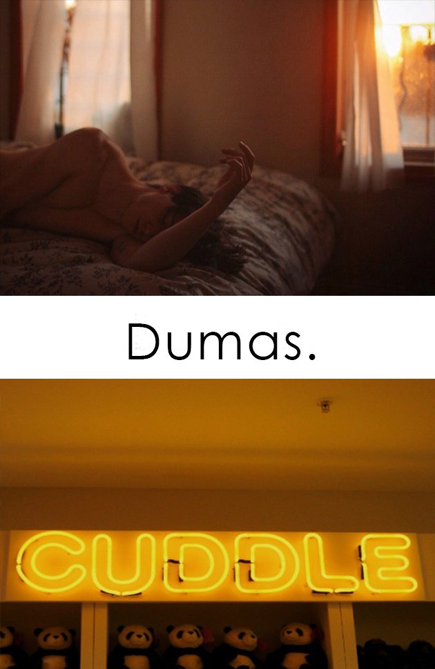 spac3lance's tweet image. #alfa #socionic #donquijote #dumas