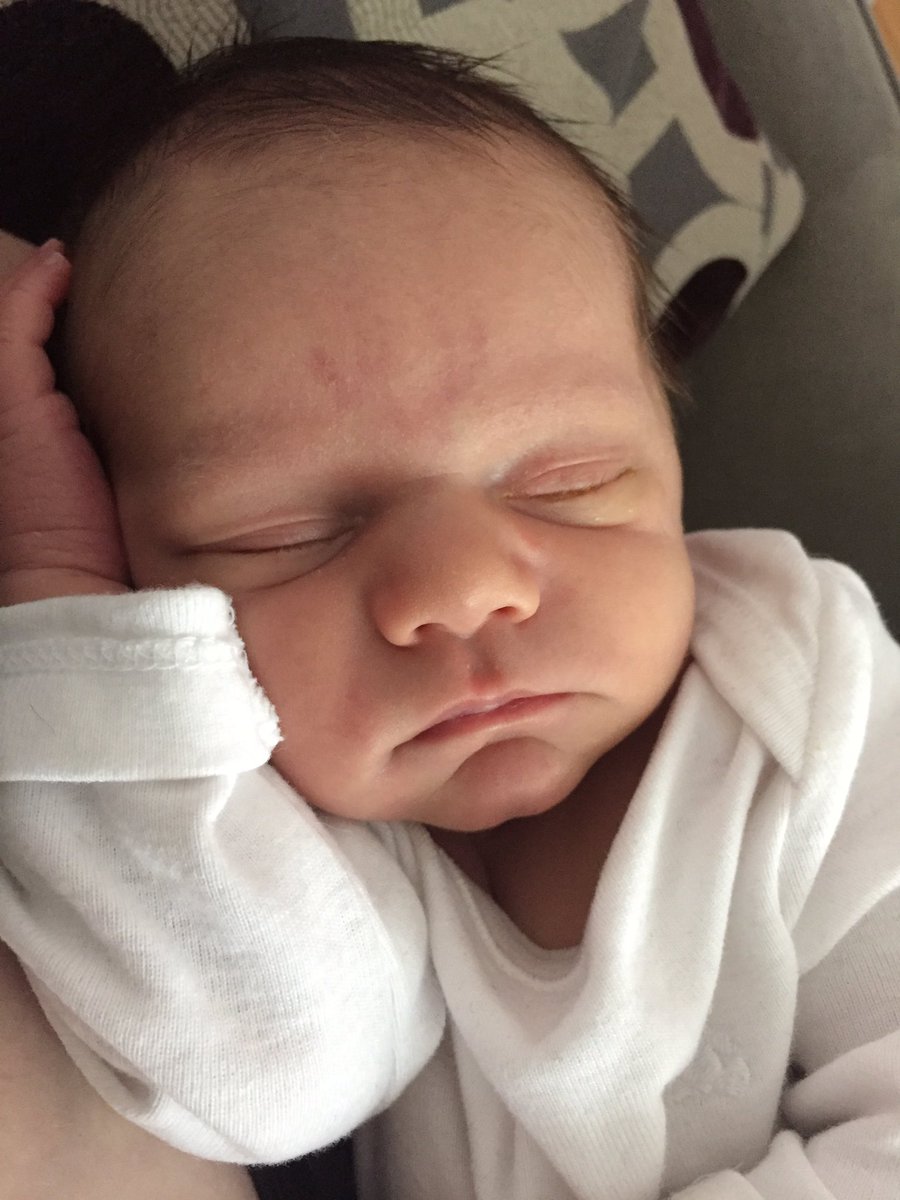 LoriKilmartin's tweet photo. Love travelling @VIA_Rail - esp this trip to meet new grandson! #train #55 #family #toby #travel #viarail #busclass https://t.co/LJFez3FY7H