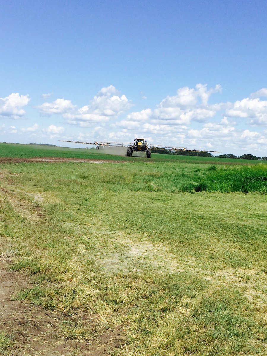 holeha_cara's tweet photo. Just another day at the office! @NationalLeasing #farmingsk2016 #agleasing https://t.co/rQcKIK6aFD