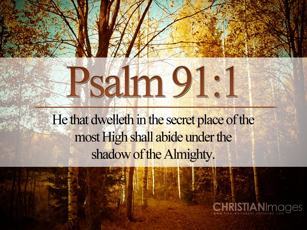 RalphSextonHolyLand tweet media
