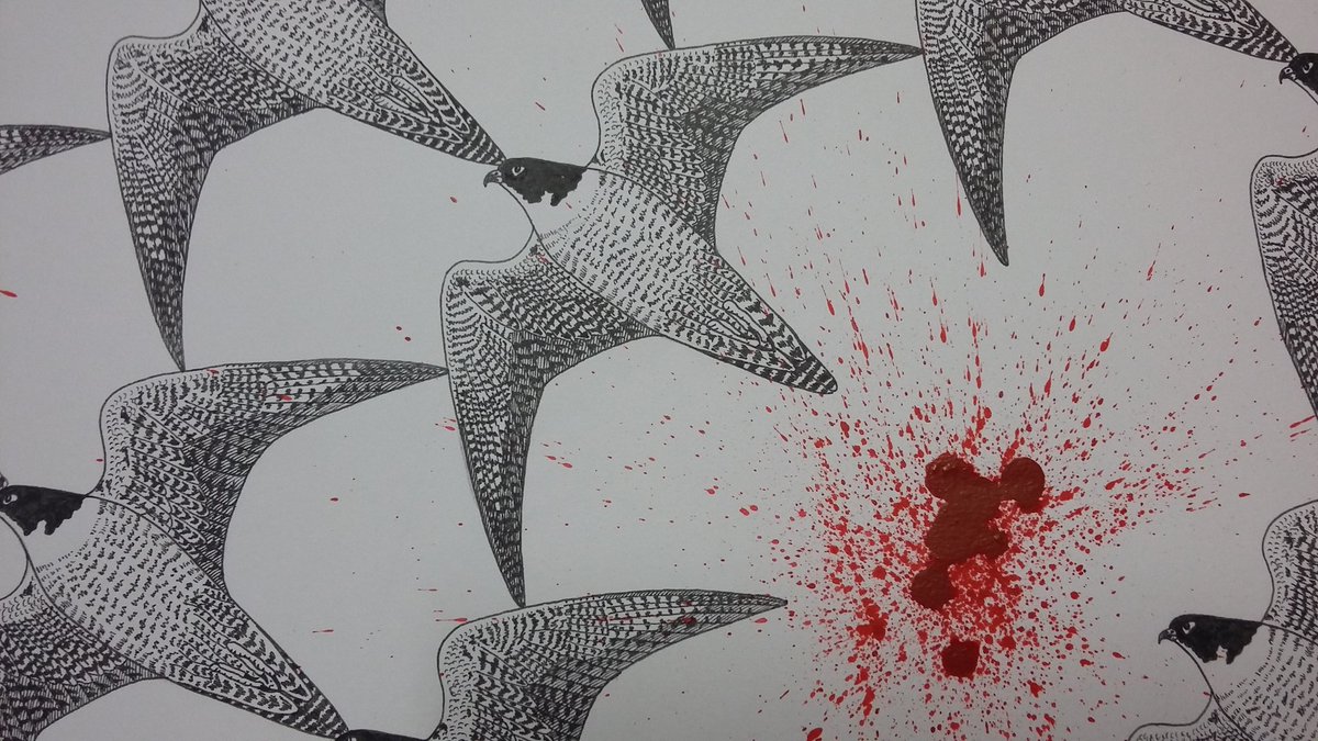 rivers_disguise's tweet photo. Detail from new artwork:Maltese Falcon https://t.co/L0lfTFFZsN #stopspringhunting #birds #nature #conservation #art https://t.co/KD2BfKnts9