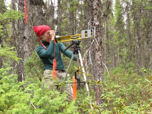 Canada's forest science/tech advances environmental leadership &amp; optimizes forest value ht.ly/ThZb300RpzH