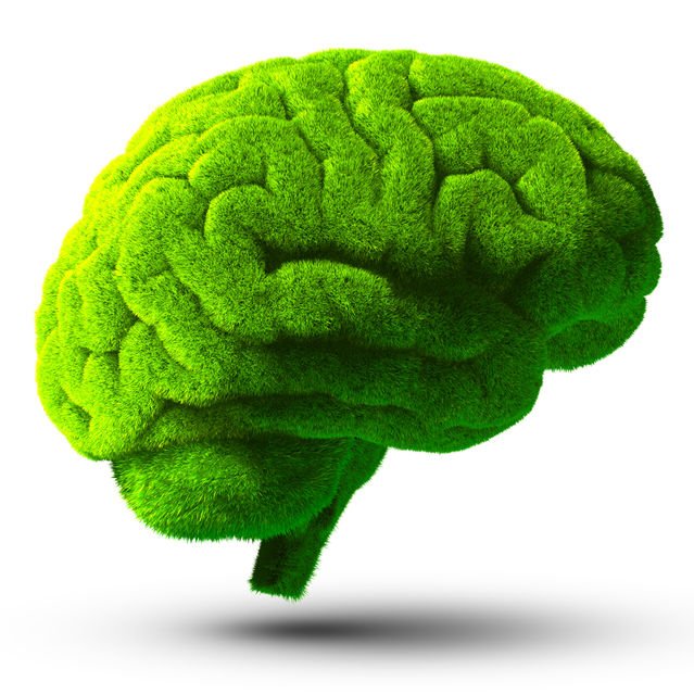 workweekfitness's tweet photo. How Aerobic Exercise Is 'Miracle-Gro' for Your Brain https://t.co/LDxFJgeqkc #RunForYourBrain #Cardio #IHateRunning https://t.co/qyvHFzUxoA