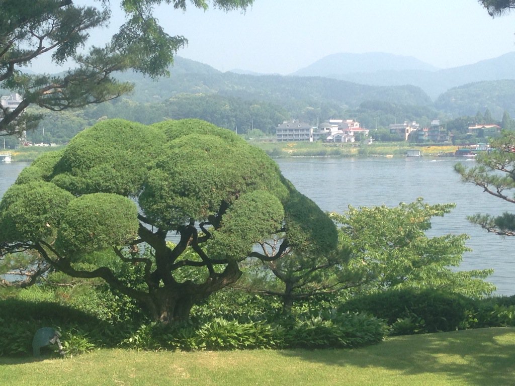KSKTALL's tweet photo. https://t.co/8O1M305PHm