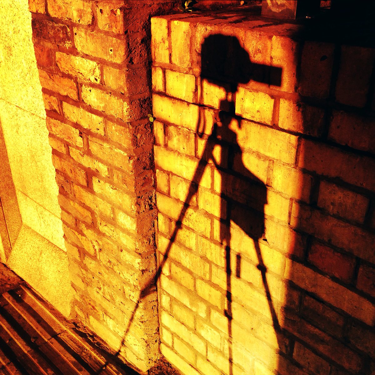 jufflehead's tweet image. Stay frosty - there be Tripods about! #phototunity