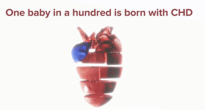 ARMI_Labs's tweet photo. Help us win $20,000 to support #CHD research by voting for @ramialison_lab at @thinkable_org https://t.co/mJXRpMJ4ra https://t.co/b0tXxPtsnU