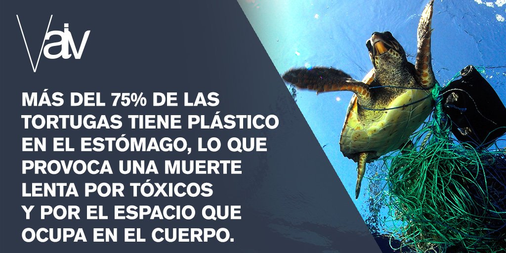 AguaVaiv's tweet photo. Toma conciencia: #NOMÁSPLÁSTICO https://t.co/jwyZsfwPiB