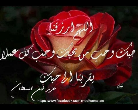 عزيز أبن السلطان (@azizalsultan) on Twitter photo 