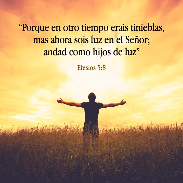 PoderosoDios_'s tweet image. Porque en otro tiempo erais tinieblas, mas ahora sois luz en el Señor; andad como hijos de luz. Efesios 5:8