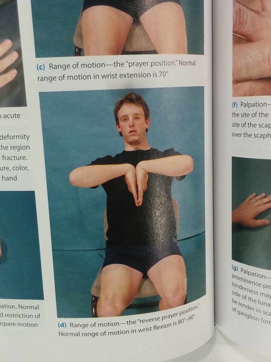 Can't believe I get to work with <a href="/jamessrance1/">James Rance</a>! #starstruck #physiolegend