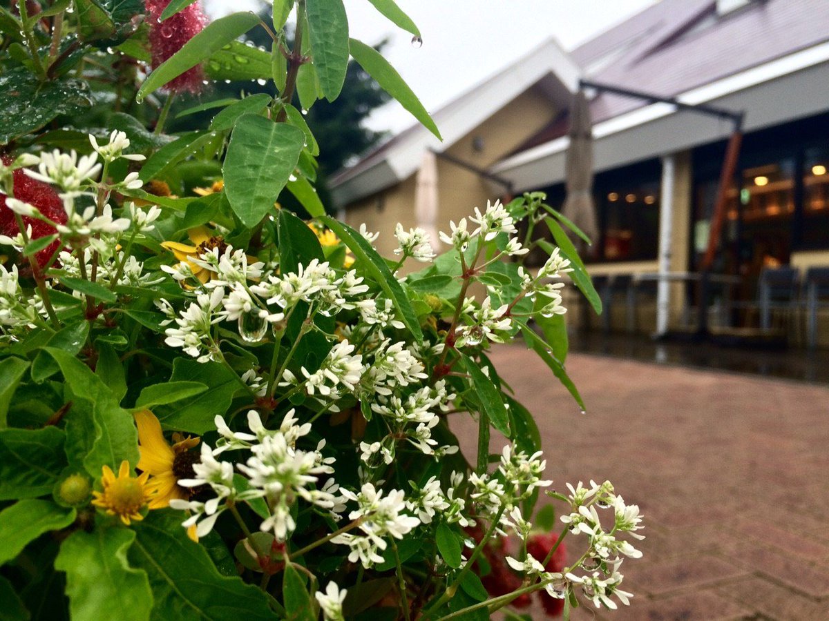 Thank you for following me!!!
#coregraphy