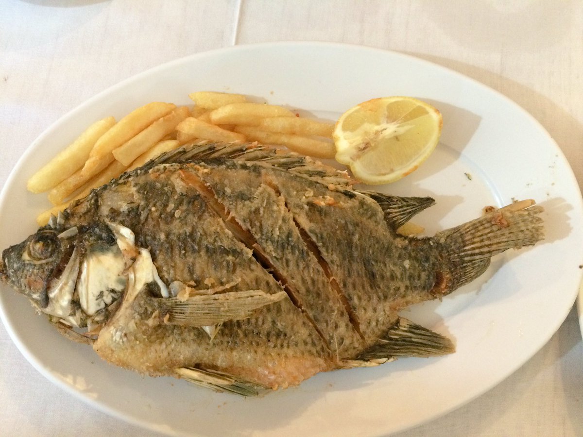 What's for lunch? St Peter's Fish anyone? 😋 #travel #Israel #foodphoto #travelphotography #travelblogger