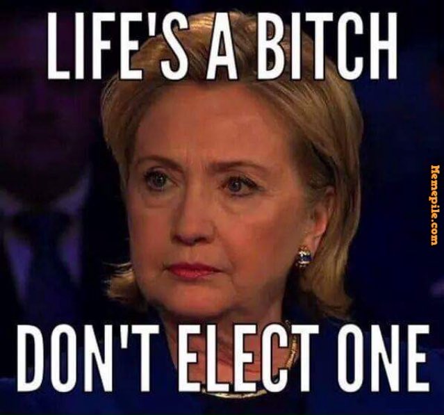 HillaryRoast tweet picture