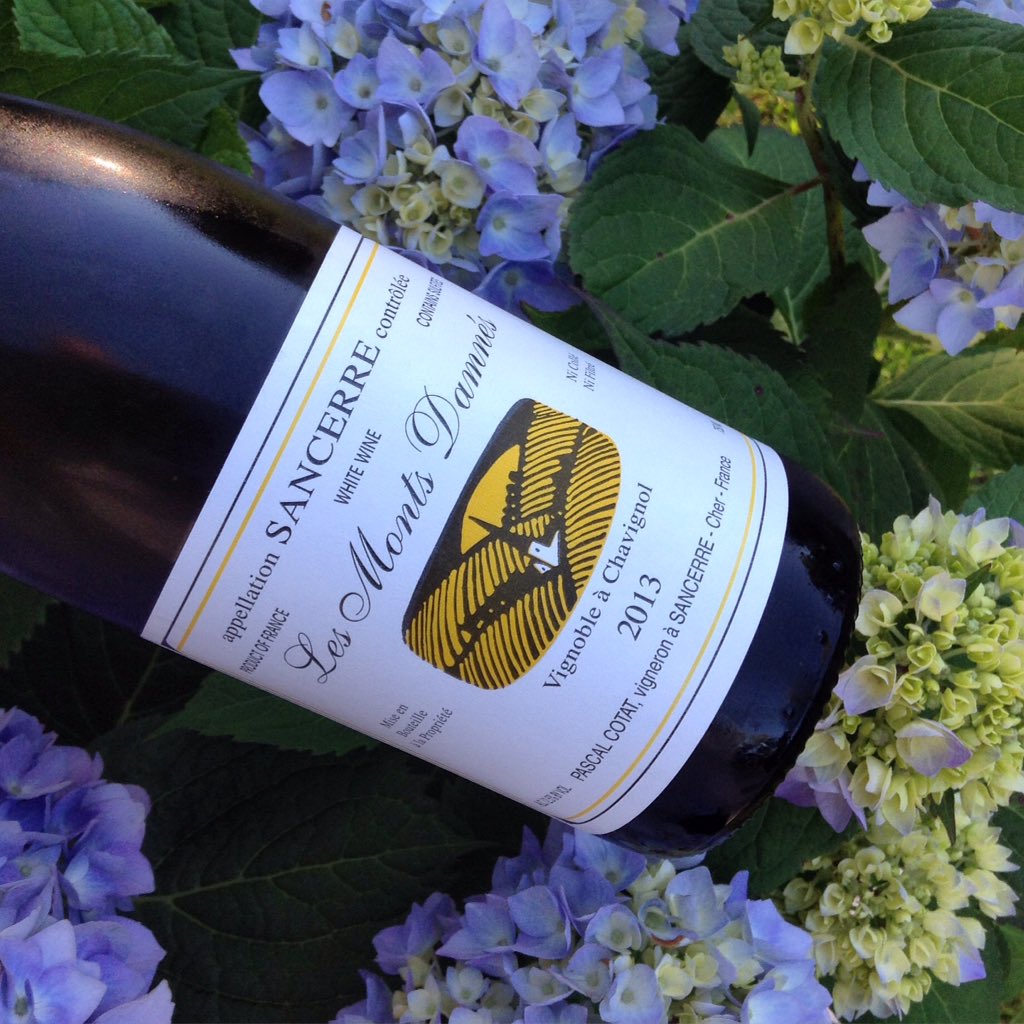 RockandRhone's tweet photo. Even #endlesssummerhydrangea™ know a good thing! #PascalCotat🇫🇷 #LesMontDamnés🍇 #Sancerre 2013 #hydrangeamacrophylla https://t.co/IDDNkkKpuZ