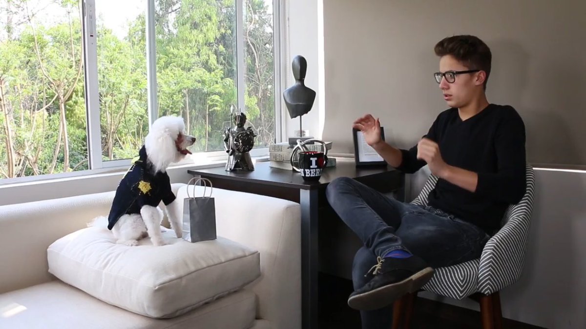 upsidefiles12's tweet photo. "Te traje un regalito, que es ? ES UNA BOMBA" 😂😂😛 @ElJuanpaZurita 😂😂💛🐶
👉🏼 https://t.co/OY0mPj5SEP 👈🏼#EntrevistaAPuca https://t.co/VLeRvVBE5I