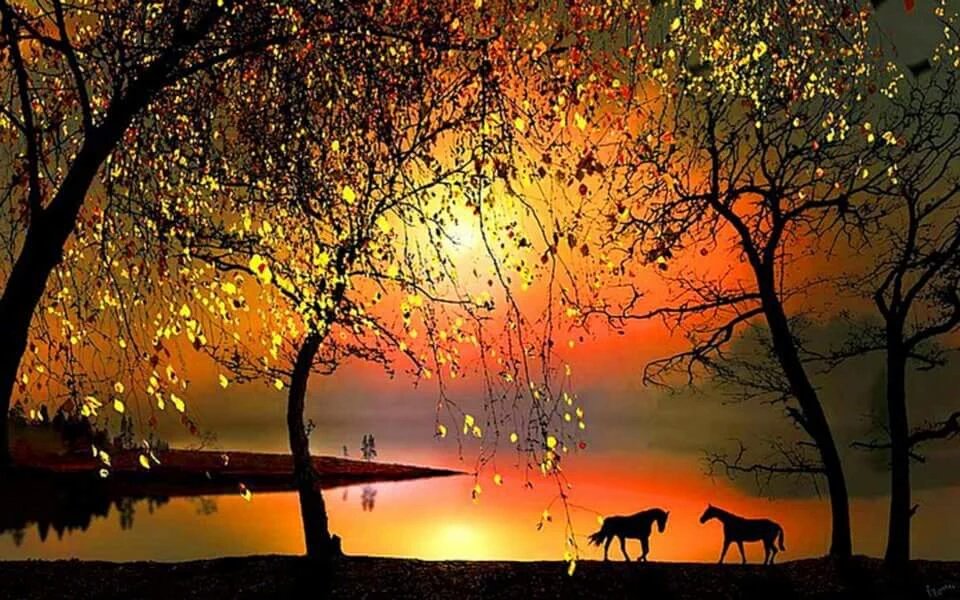 skyflower1133's tweet image. @THEWAY_Feature @MSimoneF @charles4691 @kenichi6922