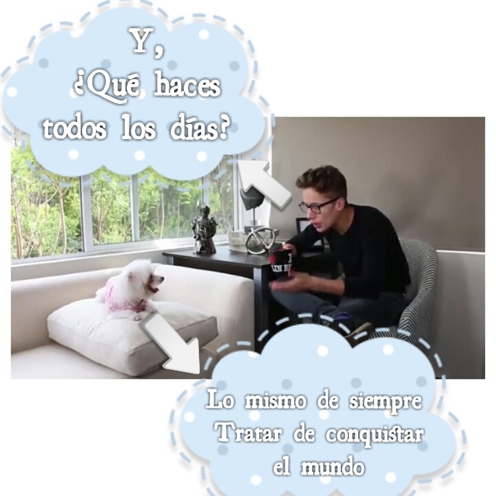 Estefani290396's tweet photo. Quedo feo lo se 🙈 #EntrevistaAPuca jajaja😹 @ElJuanpaZurita https://t.co/yVR45tPmlc