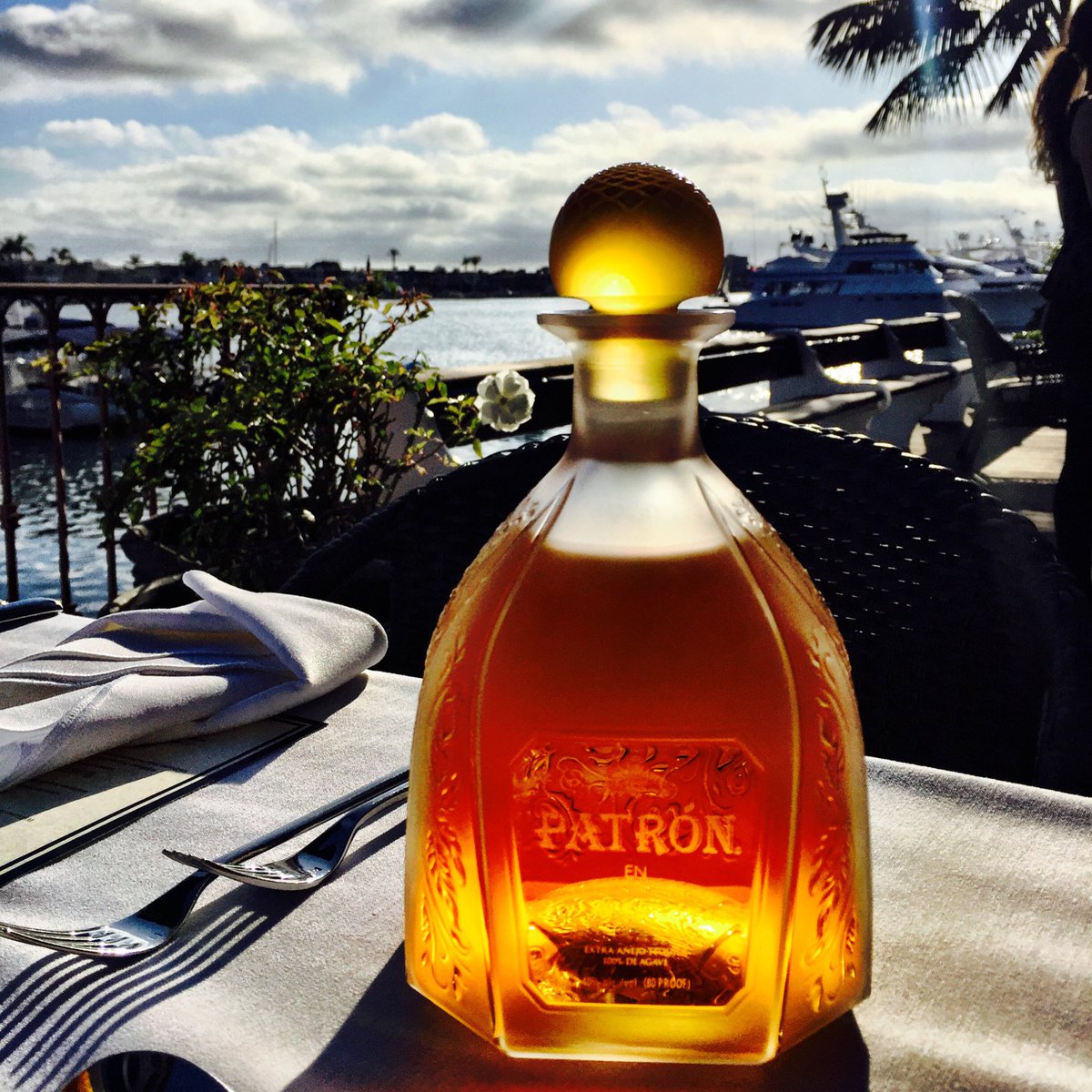 Patron tweet picture