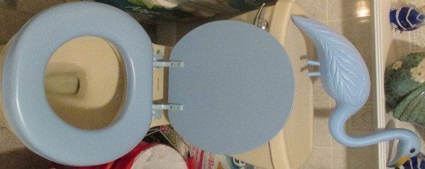 ithildin_lass's tweet photo. Want to know the secret to a Mom's heart?Surprise her by installing a padded toilet seat #BonyButt #MatchTheFlamingo https://t.co/AjYnh37mc4