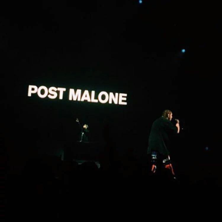 Post Malone Fans tweet media