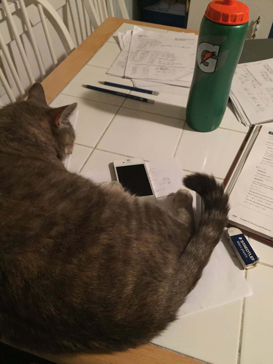 GrahamKuling's tweet image. I'm trying to study