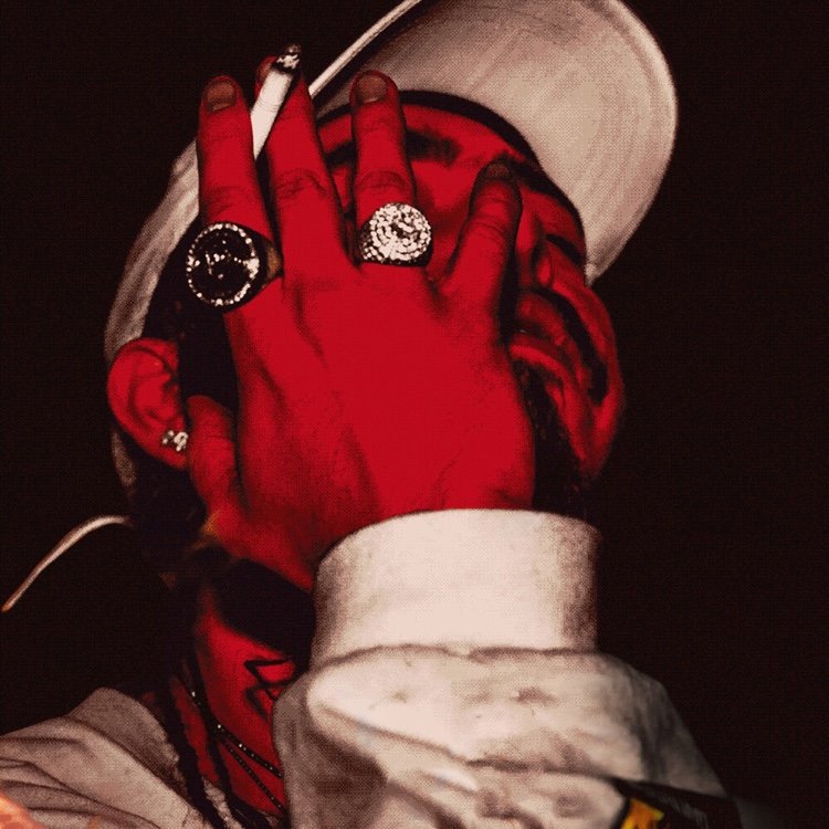 Post Malone Fans tweet media