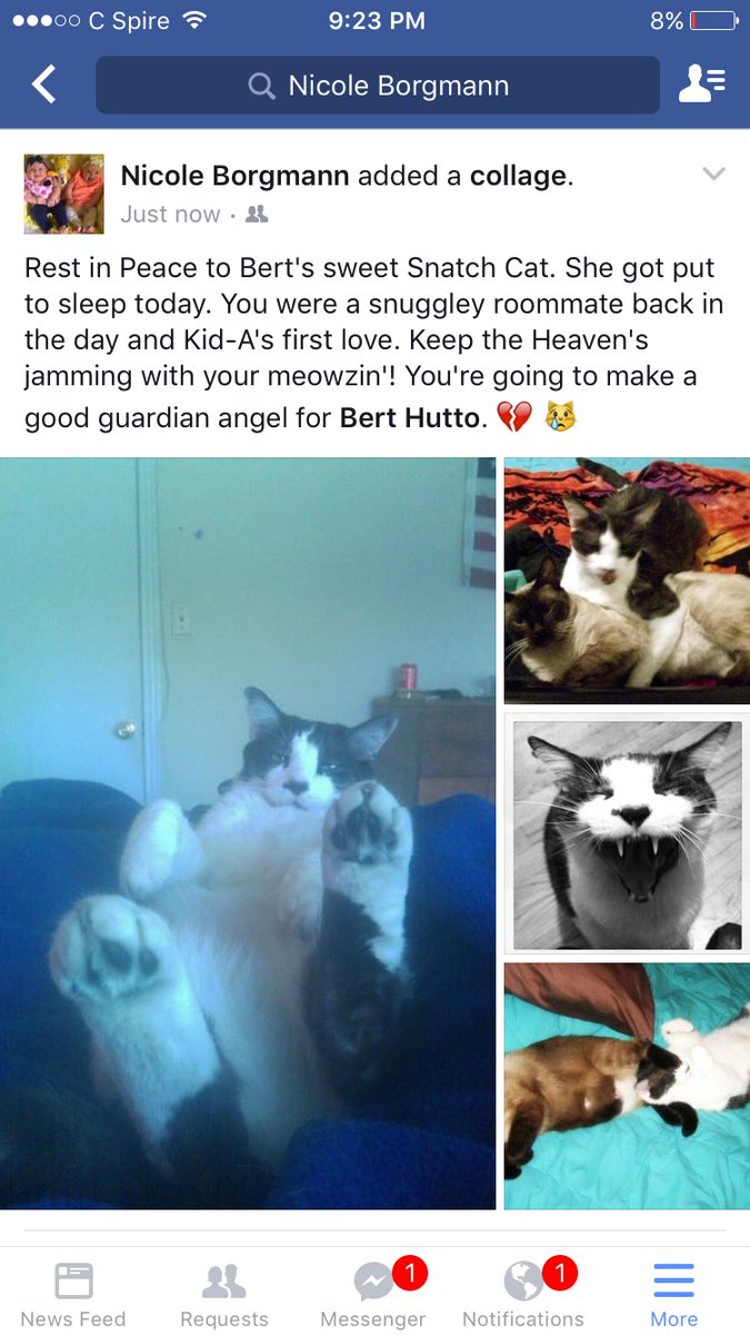 eshIII's tweet image. My friend made this collage for me. It hurts, a ton.