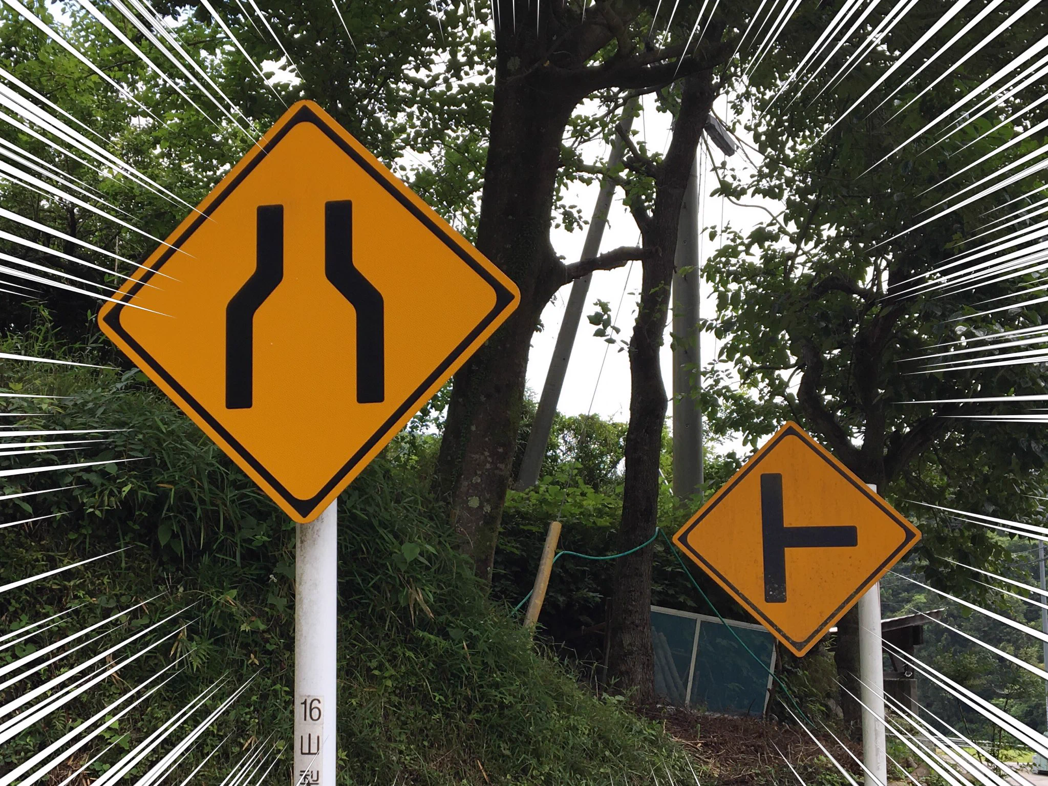 偶然！？道路の警戒標識がどうみてもハトにしか見えなくて笑えるｗｗｗ