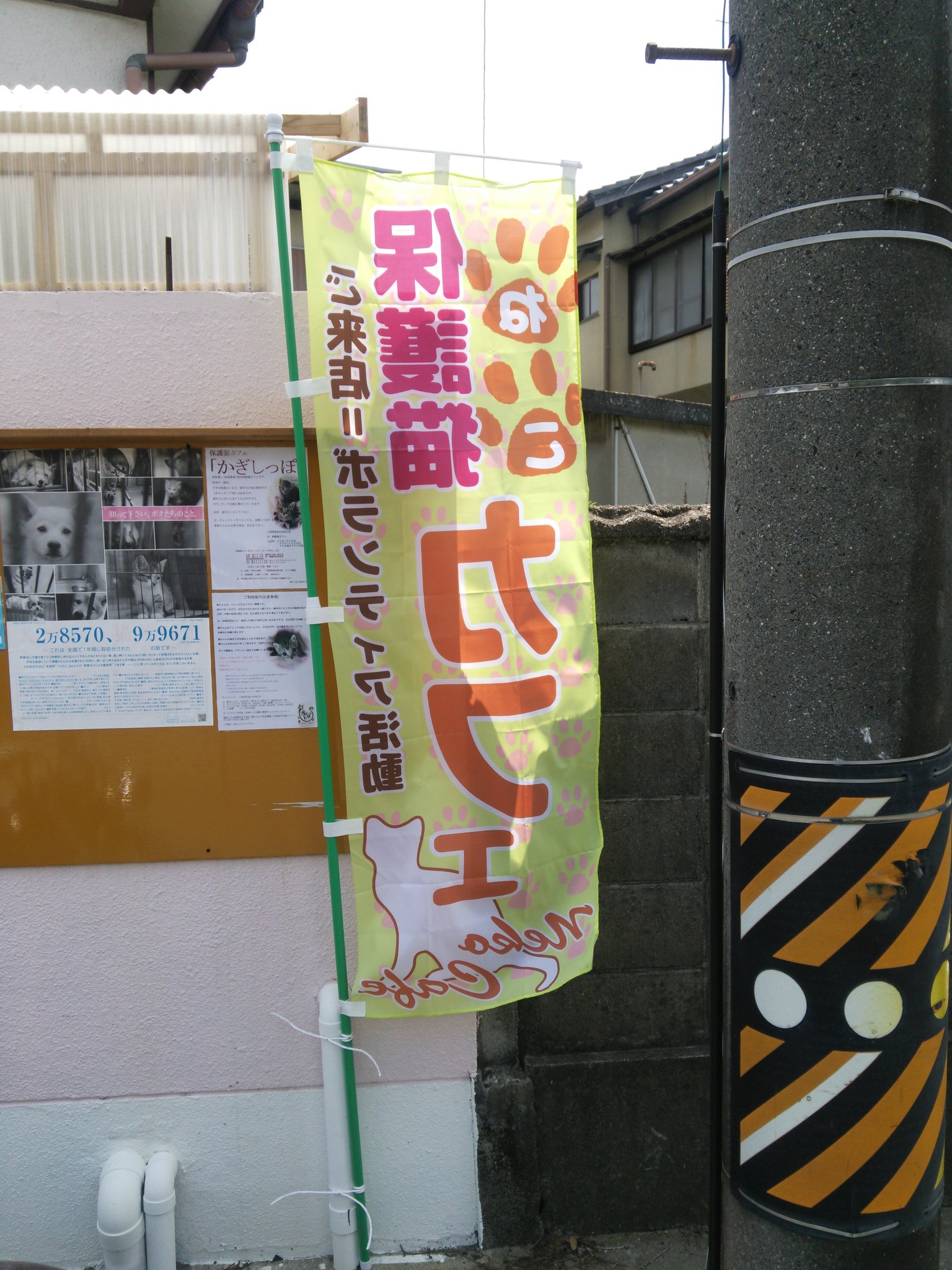 保護猫カフェ かぎしっぽ のぼりが出来てきたので 目印にしてください それでは12時open 17closeで待ってるにぁ Fwf 保護猫 カフェ かぎしっぽ 松阪市 清生町 ボラ 保健所 空手 T Co Dnbhlw1yym Twitter