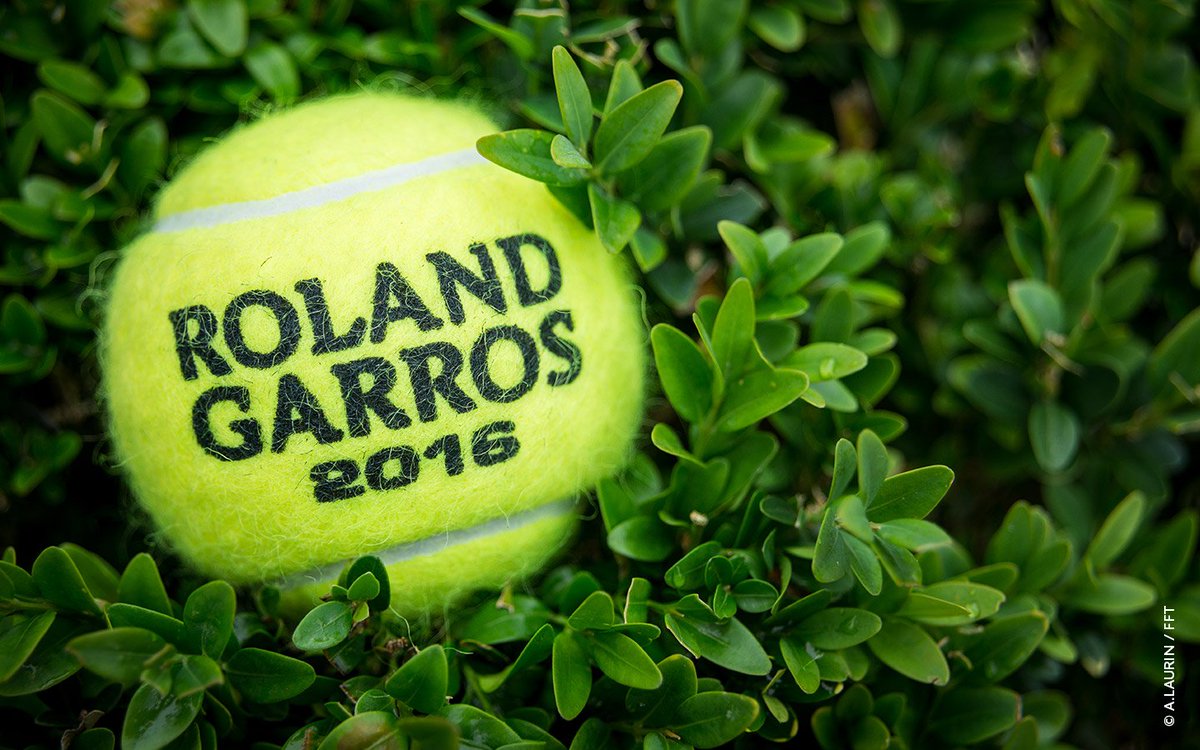 rolandgarros's tweet photo. La balle de tennis, objet de toutes les convoitises 😍  #RG16 https://t.co/sZcqPqBCH1