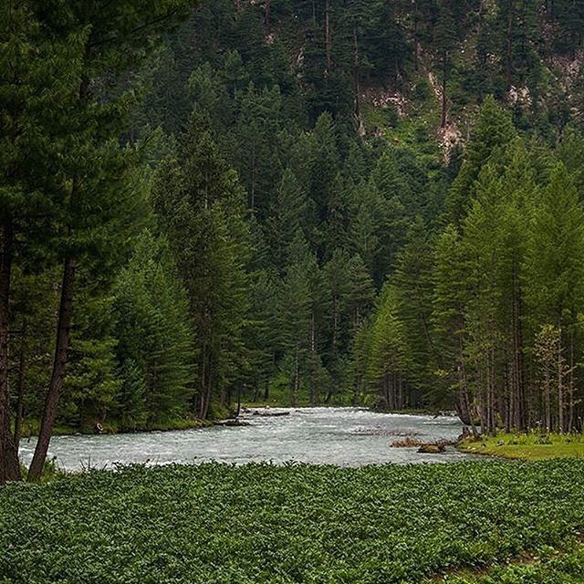 beautifypak's tweet photo. #Kumrat #Valley #Bieutiful #Pakistan https://t.co/TB6JIWm7in