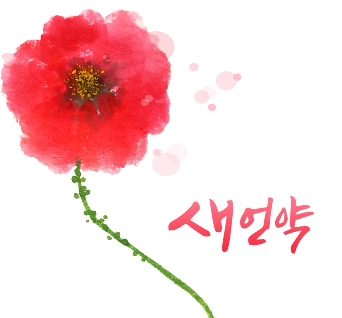 아라 tweet media