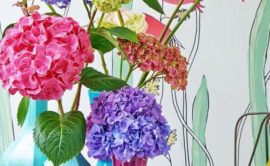 housetohome's tweet photo. Breathe freshness and colour into your home your some beautiful florals... https://t.co/naBFg1wxEC https://t.co/zWJYbzNCJU